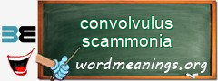 WordMeaning blackboard for convolvulus scammonia